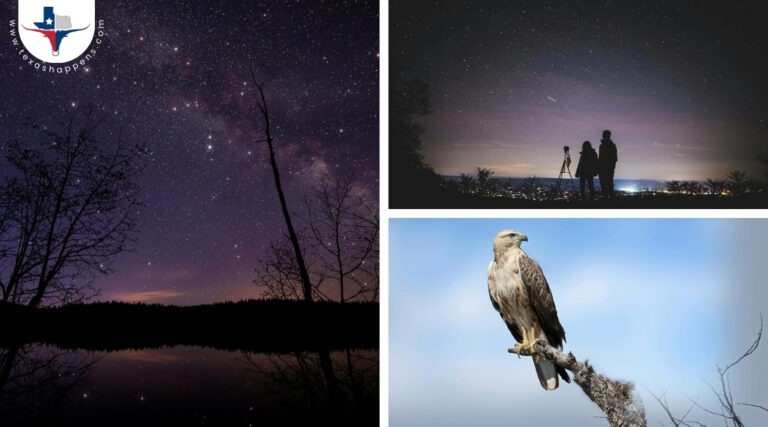 Learn About Eagle Eye Observatory in Burnet County, Texas