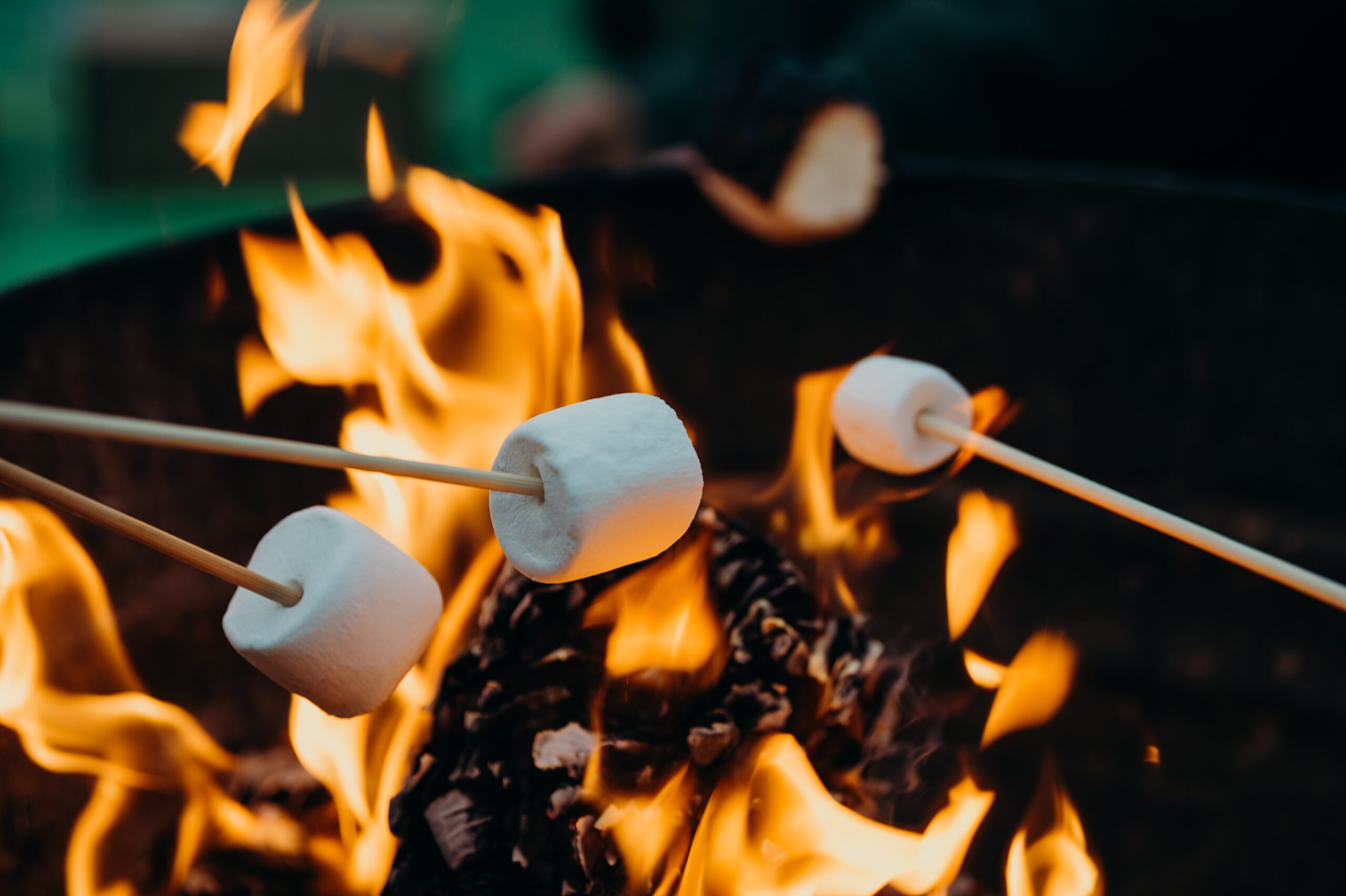 roasting-marshmallows-on-a-campfire