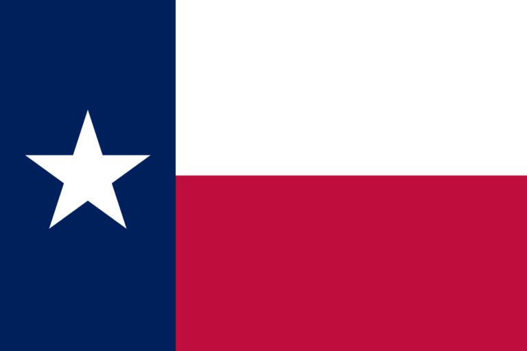 The Flag of the State of Texas