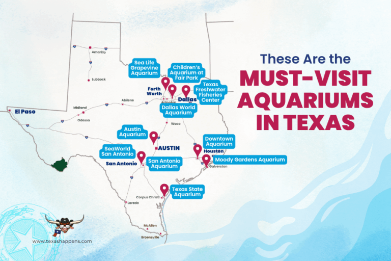These Are the Must-Visit Aquariums in Texas