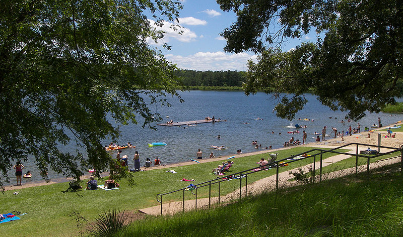 The Tyler State Park swimming area in Smith County, Texas, United States.