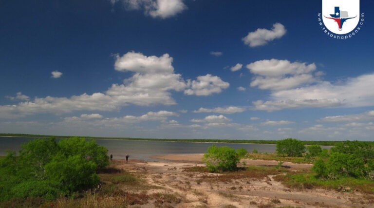 Learn About the Amazing Salt Lake of La Sal del Rey
