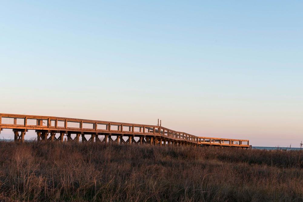 Viewing walkway amid the marshland of Sea Rim State Park