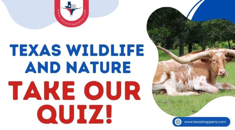 Texas Wildlife and Nature Quiz