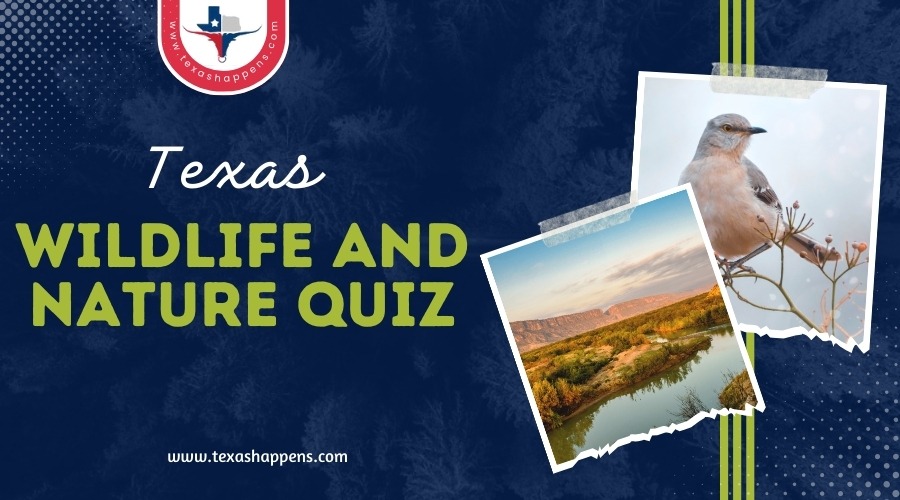 Texas Wildlife and Nature Quiz