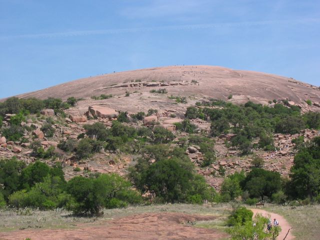 Conservation Efforts