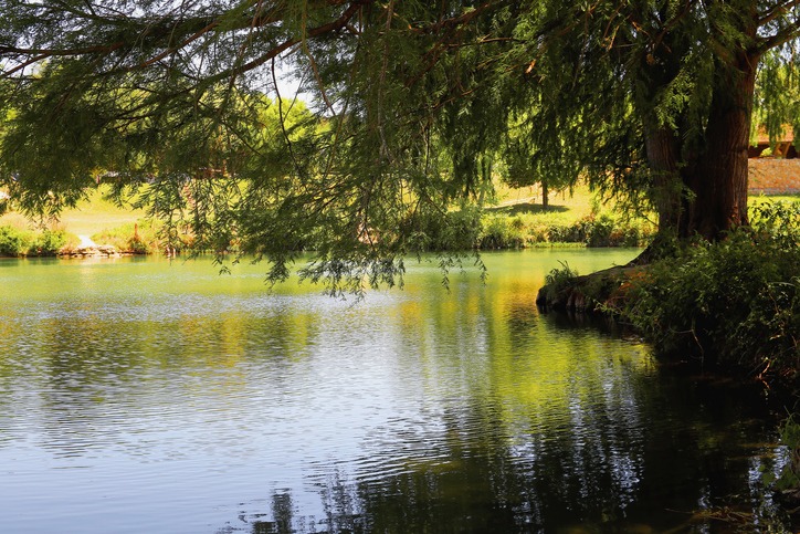 Blanco River