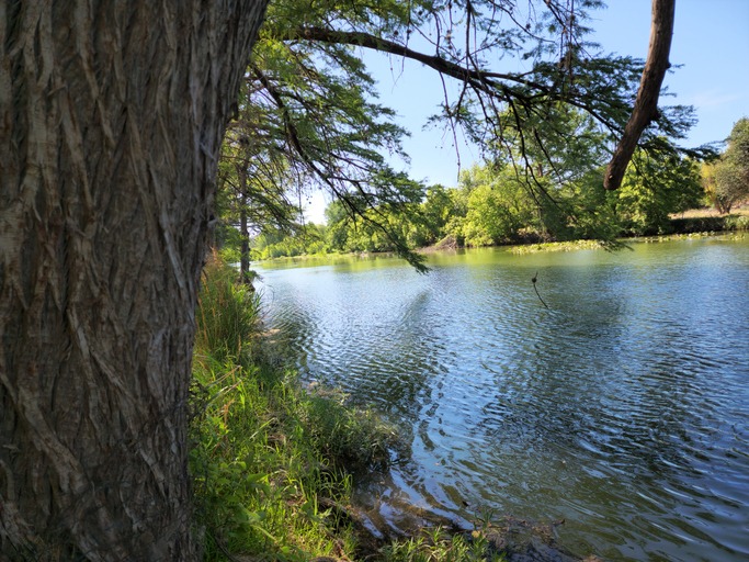 Guadalupe River