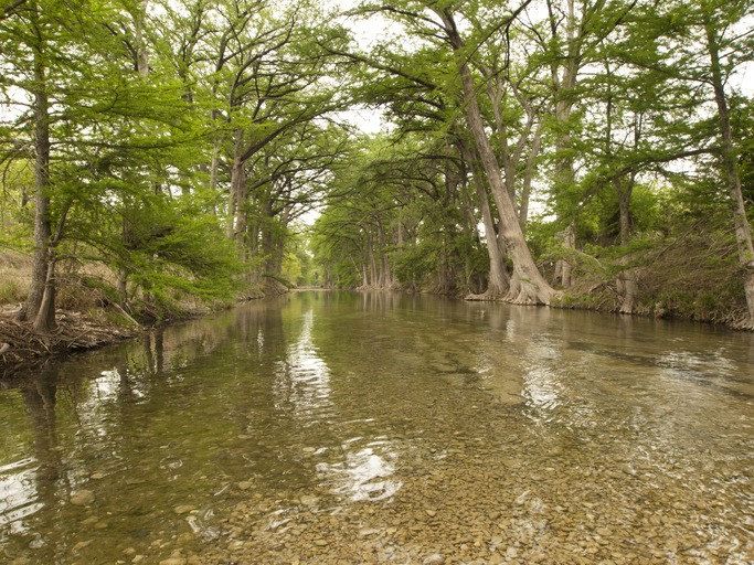 Medina River