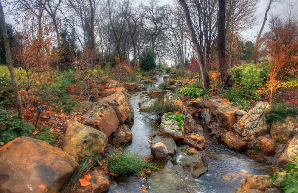 A flowing stream in the Dallas Arboretum