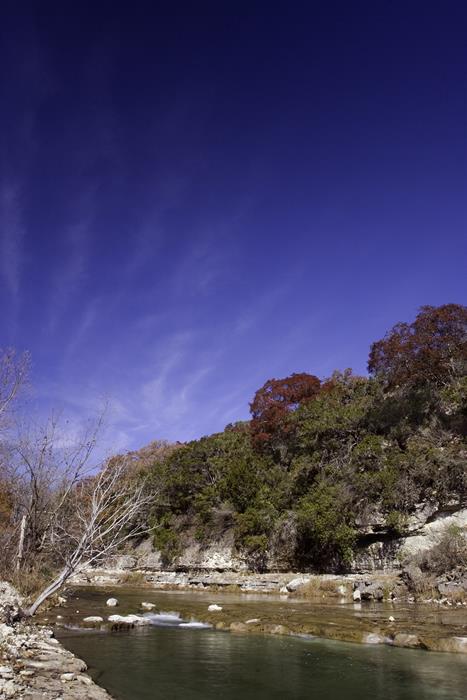 A view of a river in autumn
