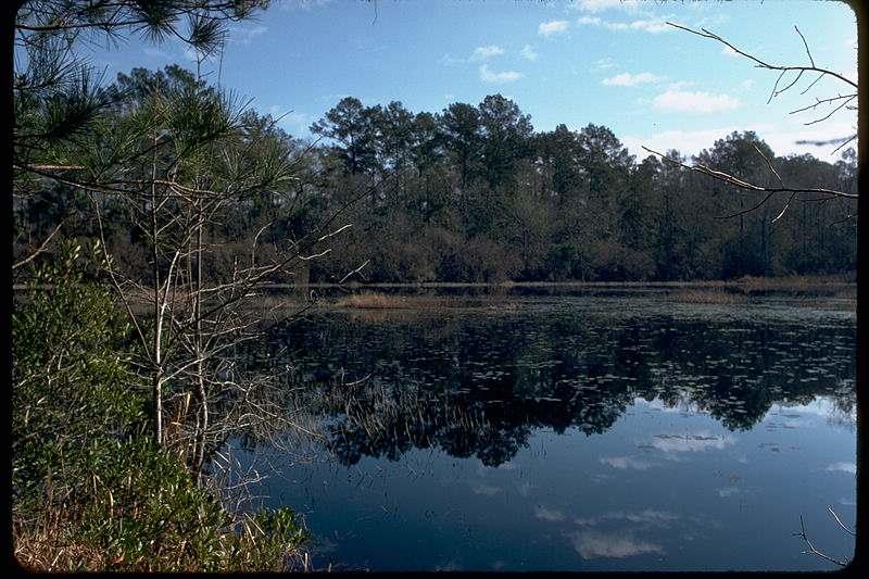 Big Thicket National Preserve