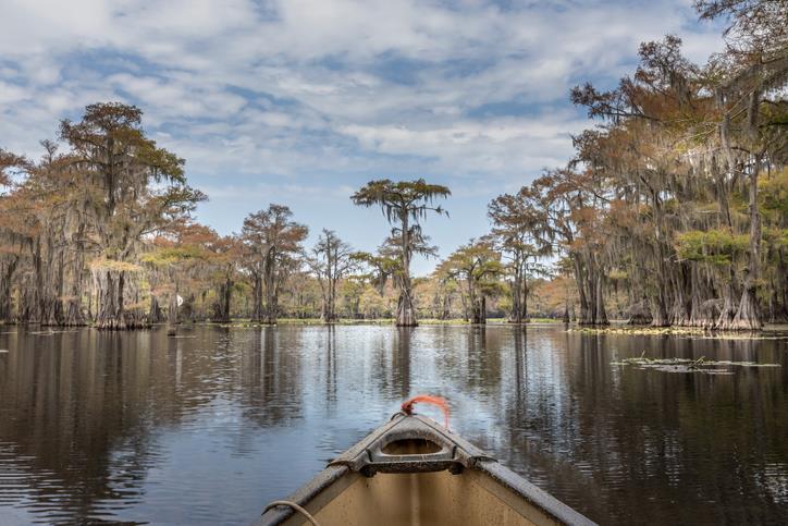 Canoeing on the Caddo Lake between cypress trees