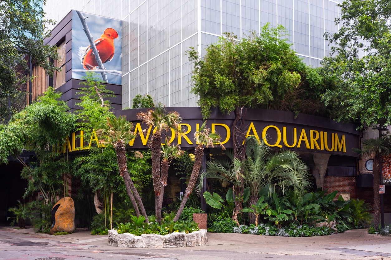 Dallas World Aquarium entrance in Dallas, Texas