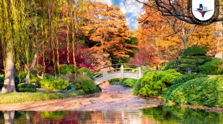 What Are the Best Botanical Gardens to Visit in Texas