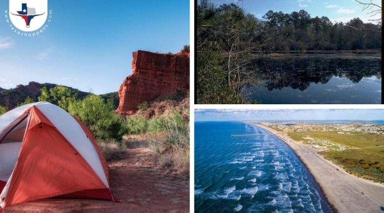 What are the Best Camping Spots in Texas?