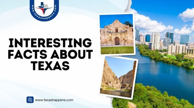 Interesting Facts About Texas
