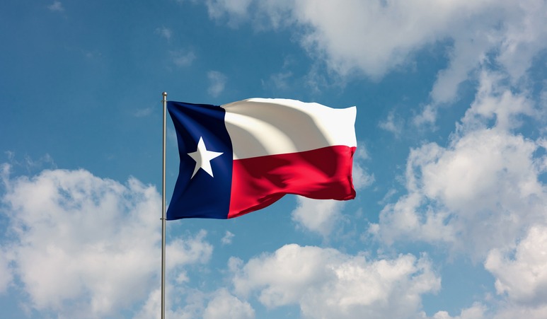 Lone Star Flag