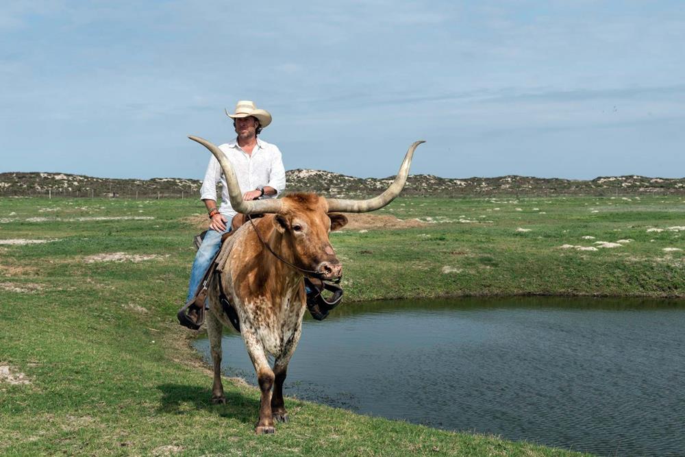 Texas Longhorns