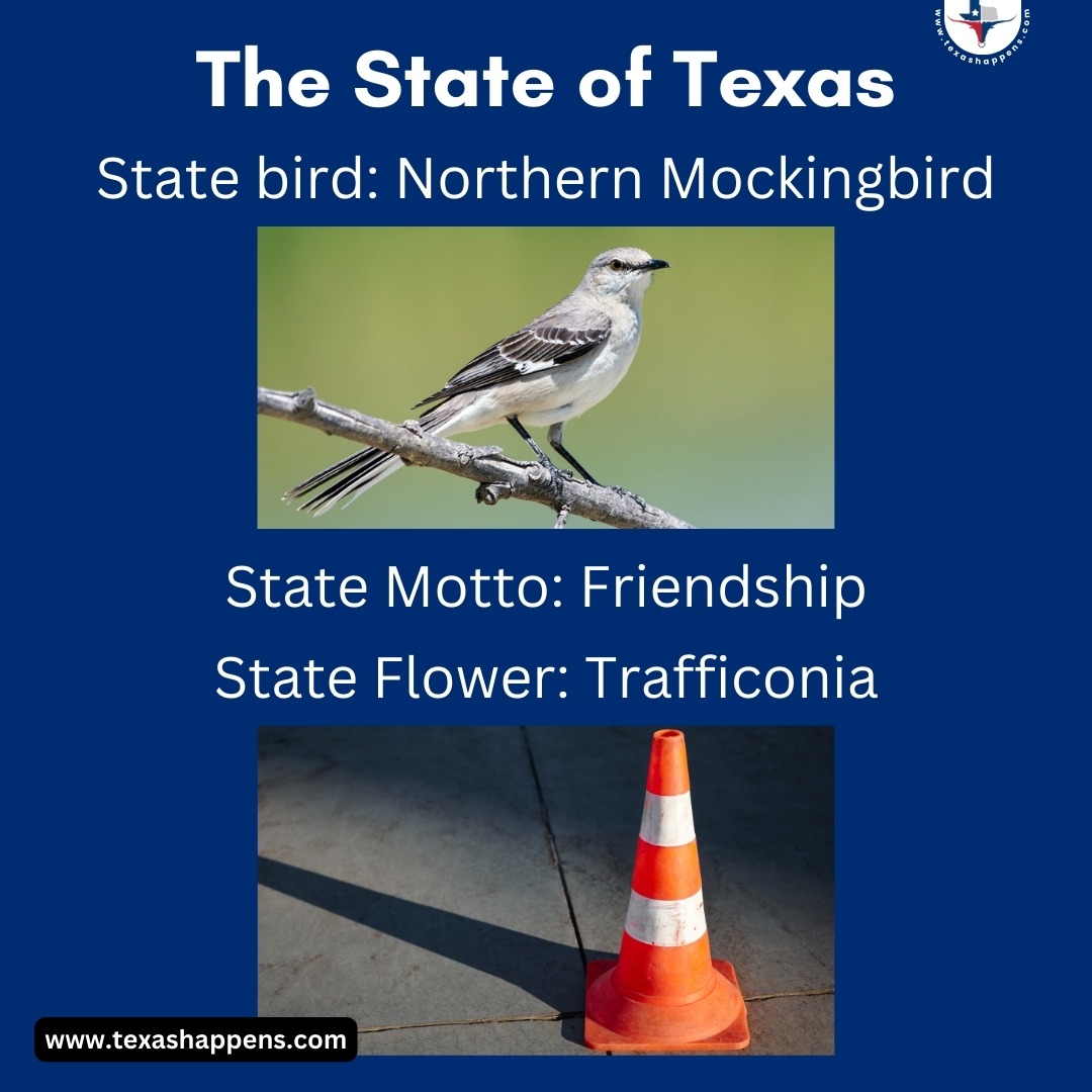 texas meme state of texas