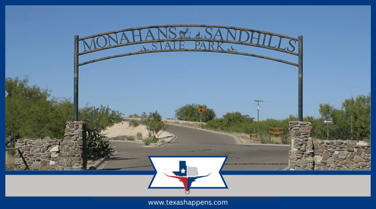 Check Out These Weird West Texas Sand Dunes