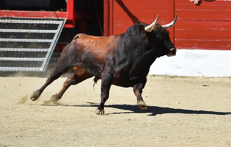 Famous Rodeo Events
