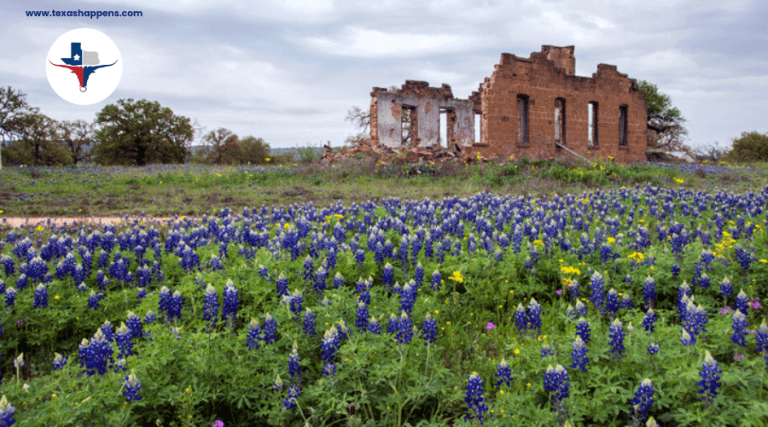Hill country ghost town surrounded by wildflowers