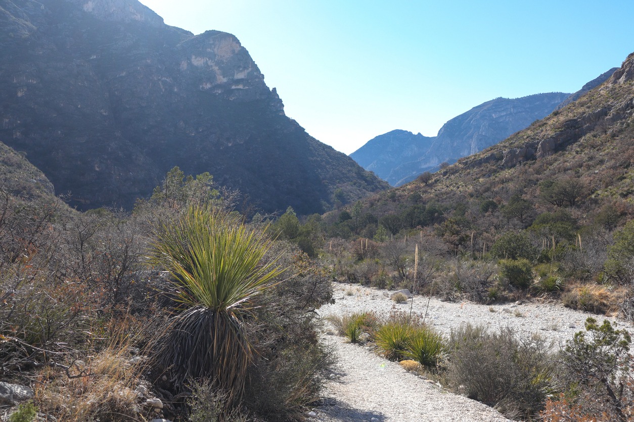 McKittrick Canyon Trail in Guadalupe Mountains National Park (Texas)