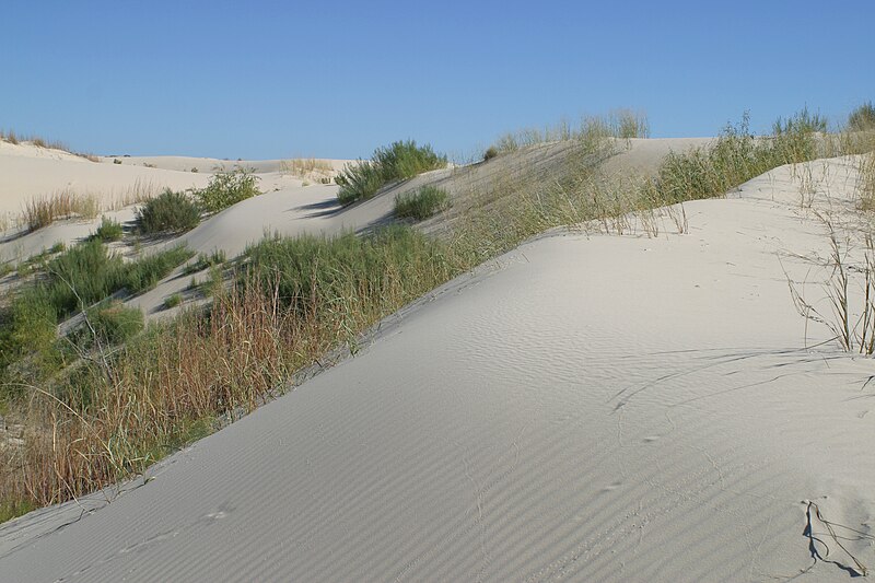 Monahans Sandhills