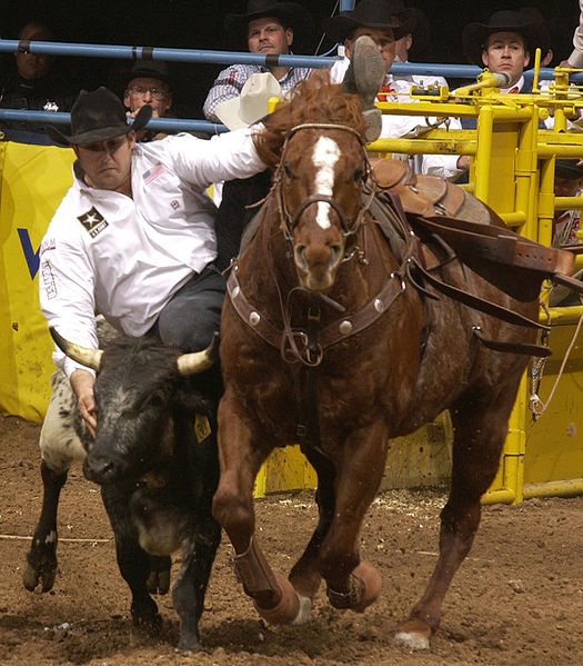 National Finals Rodeo
