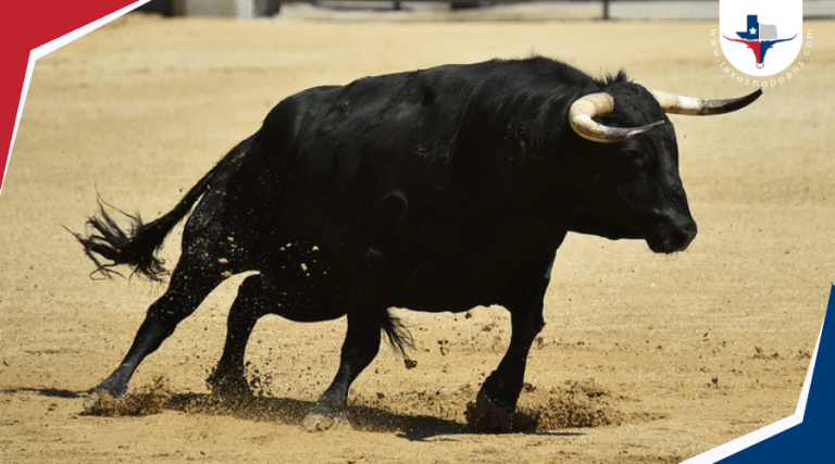 The Story Behind the Texas Prison Rodeo