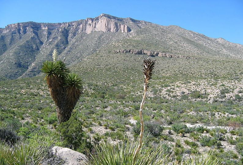 View of the Guadalupe Mountains