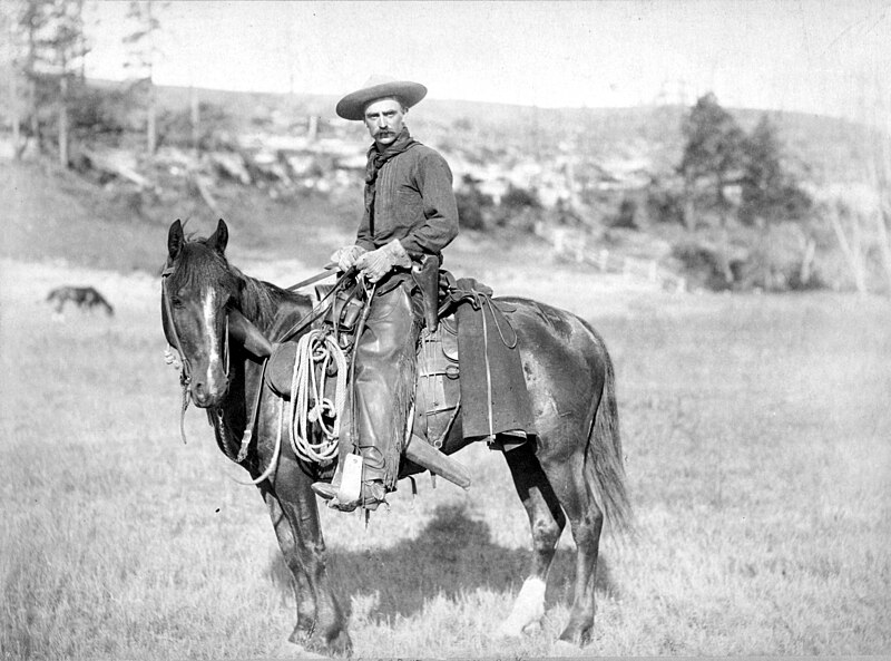 American cowboy