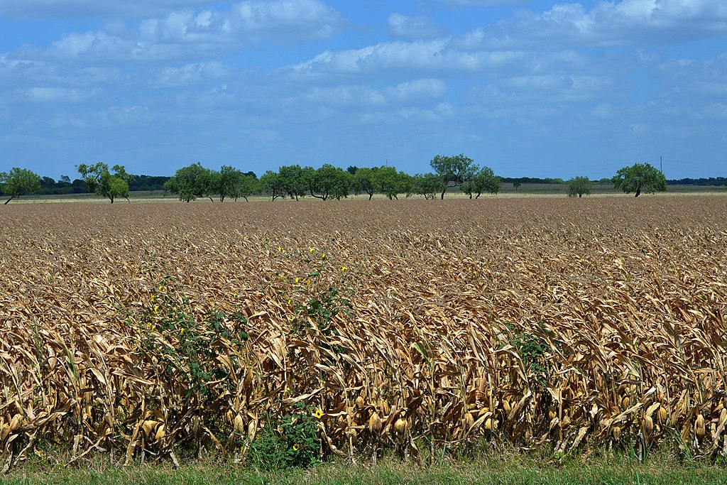 Farmland in the Blackland Prairie region seen from Highway 123