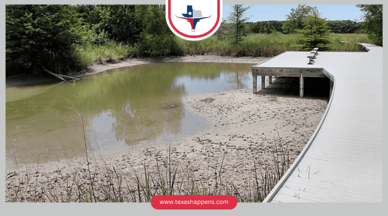 Planning a Family Day at Cibolo Nature Center