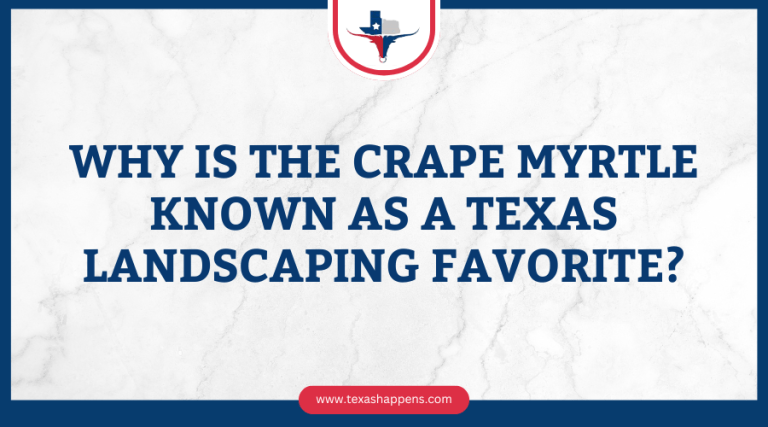 Why Is the Crape Myrtle Known as a Texas Landscaping Favorite?