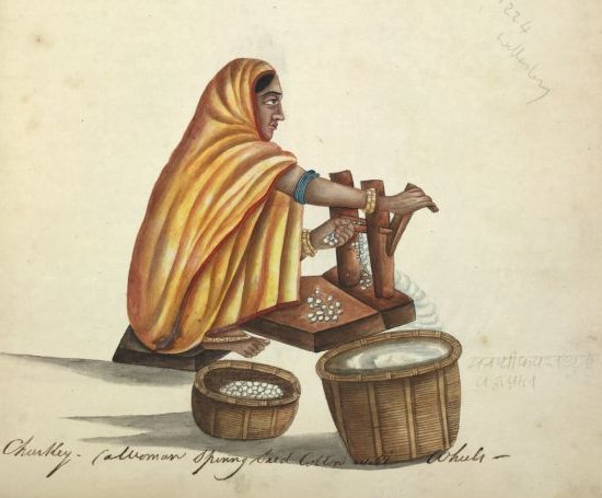 An Indian woman ginning cotton