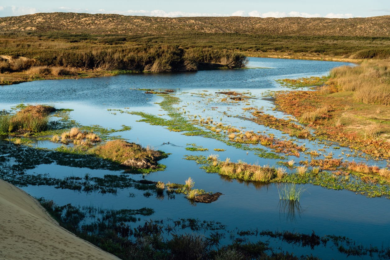 Guadalupe Dunes National Reserve