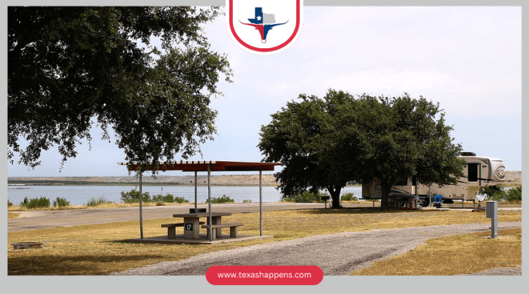 How Can You Experience the Rich Wildlife of San Angelo State Park?