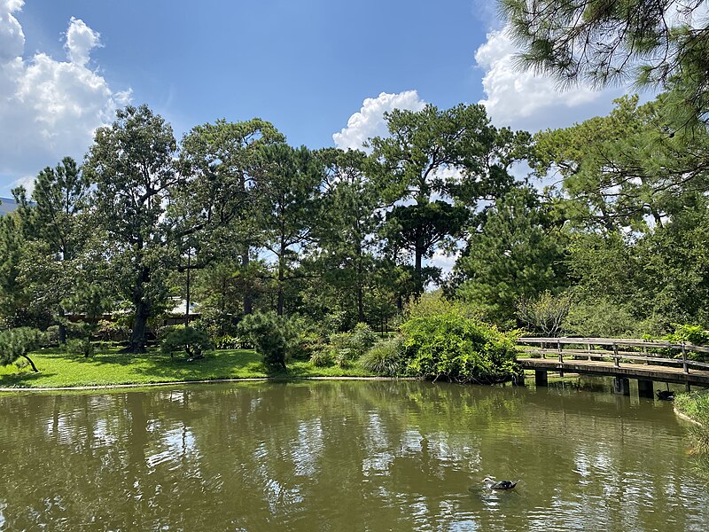 Japanese garden pond in Hermann Park