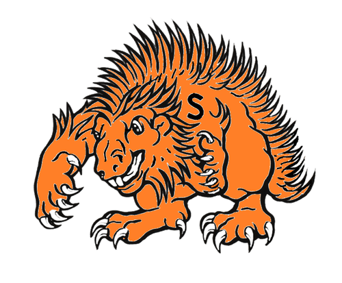 The Springtown Porcupines