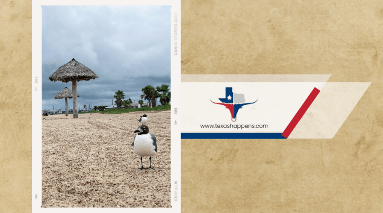 What Activities Can You Enjoy at Rockport Beach Park?