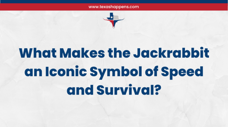 What Makes the Jackrabbit an Iconic Symbol of Speed and Survival?