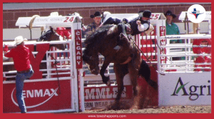 What is the Official Sport of Texas?