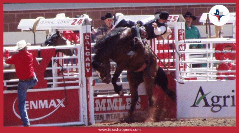 What is the Official Sport of Texas?