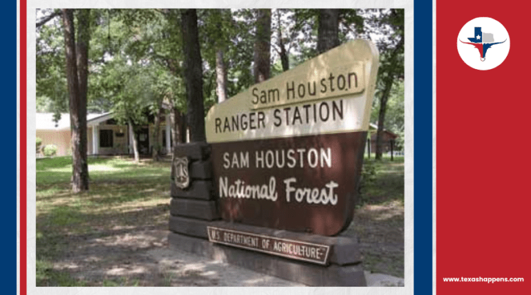 Why Is Sam Houston National Forest a Must-Visit in Texas?