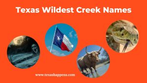 Texas’ Wildest Creek Names!