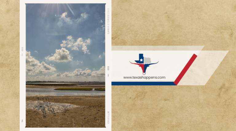 Top Activities to Enjoy at Mustang Island State Park