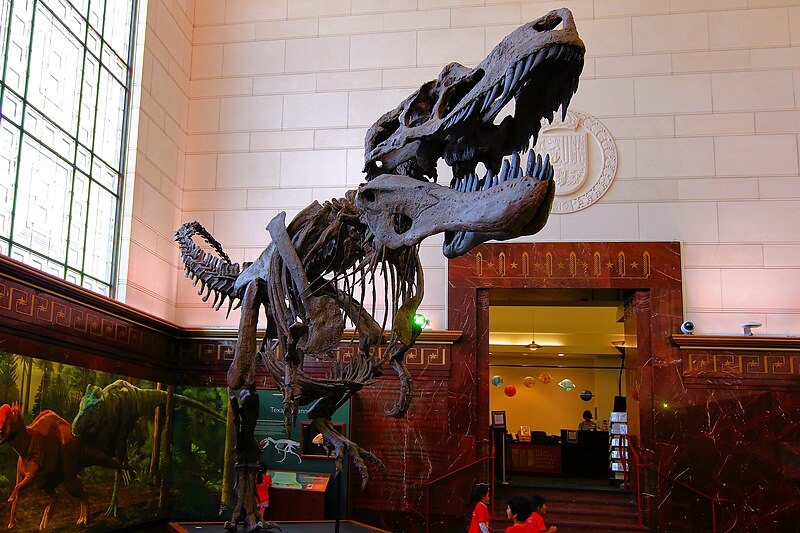 Tyrannosaur Texas Science and Natural History Museum Austin