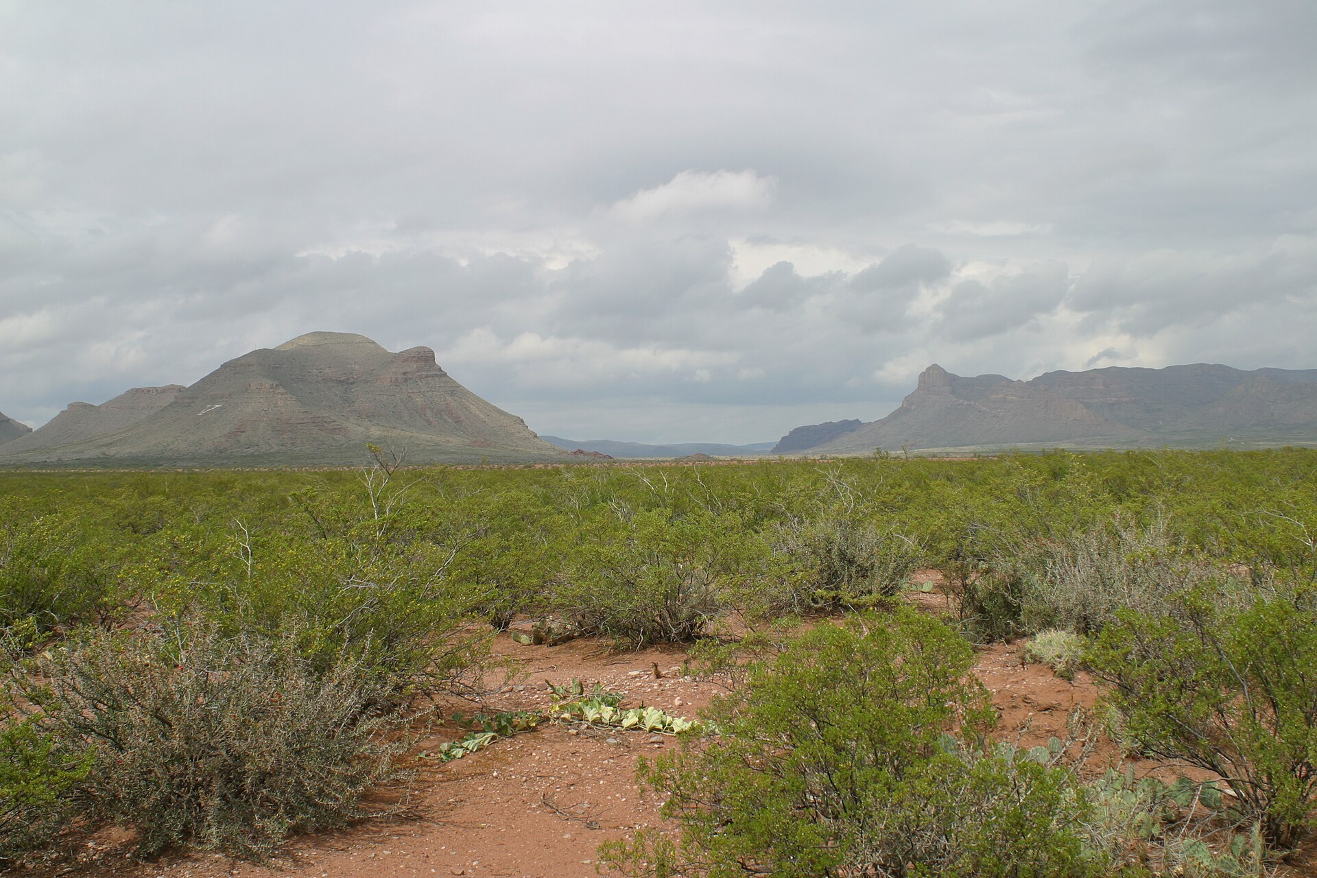 Exploring Van Horn